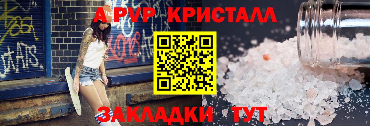 A PVP СК КРИС Мыски