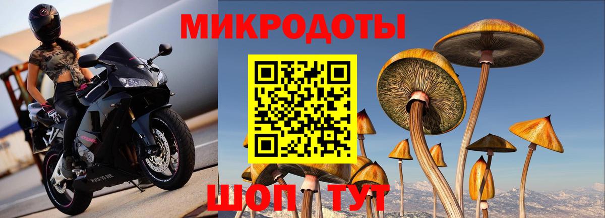 Галлюциногенные грибы GOLDEN TEACHER  Вход с VPN  Мыски 